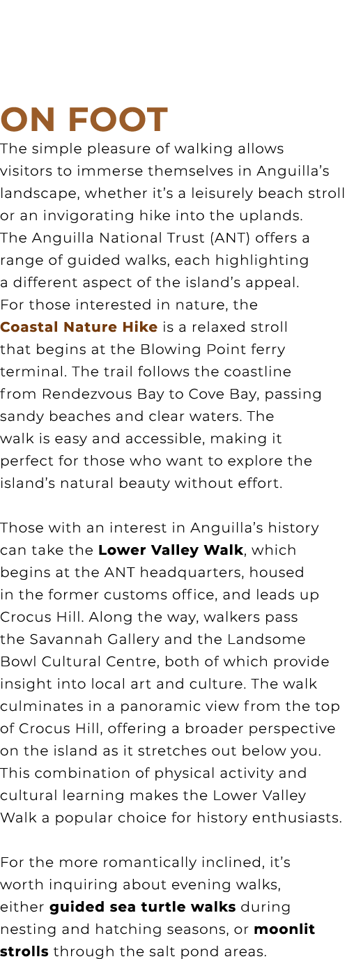 On Foot The simple pleasure of walking allows visitors to immerse themselves in Anguilla’s landscape, whether it’s a ...