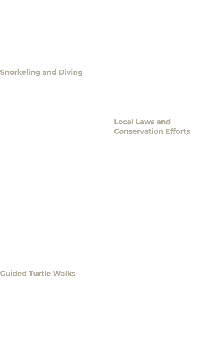 For visitors to Anguilla, the opportunity to witness sea turtles in their natural habitat is both a privilege and a r...