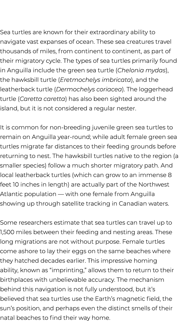 Sea turtles are known for their extraordinary ability to navigate vast expanses of ocean. These sea creatures travel ...