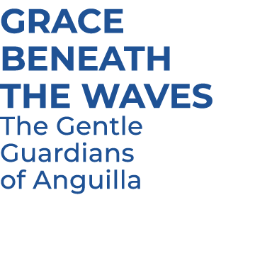 Grace Beneath the Waves The Gentle Guardians of Anguilla