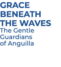 Grace Beneath the Waves The Gentle Guardians of Anguilla