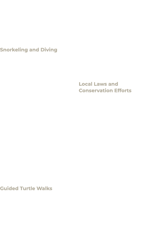 For visitors to Anguilla, the opportunity to witness sea turtles in their natural habitat is both a privilege and a r...