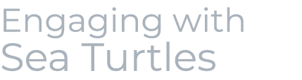 Engaging with Sea Turtles