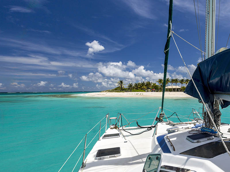 Prickly Pear n Anguilla