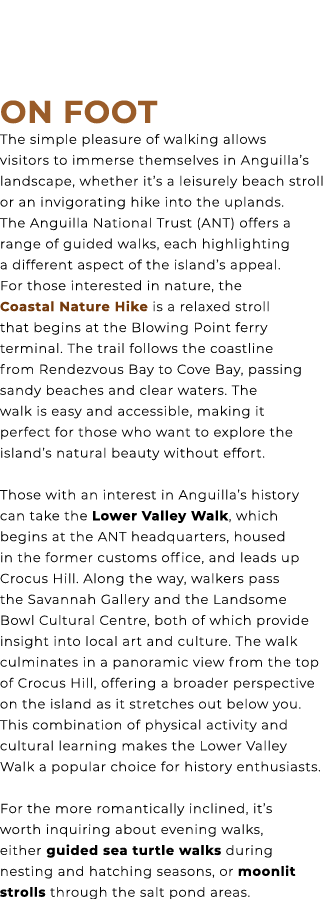 On Foot The simple pleasure of walking allows visitors to immerse themselves in Anguilla’s landscape, whether it’s a ...