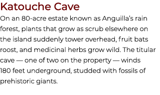 Katouche Cave On an 80 acre estate known as Anguilla’s rain forest, plants that grow as scrub elsewhere on the island...