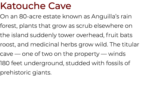 Katouche Cave On an 80 acre estate known as Anguilla’s rain forest, plants that grow as scrub elsewhere on the island...