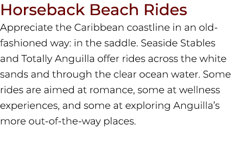 Horseback Beach Rides Appreciate the Caribbean coastline in an old fashioned way: in the saddle. Seaside Stables and ...
