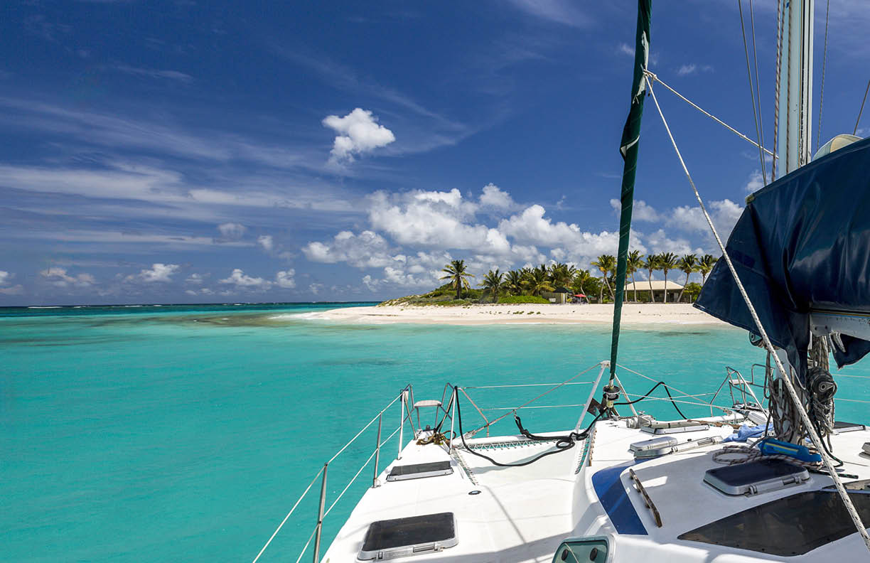 Prickly Pear n Anguilla