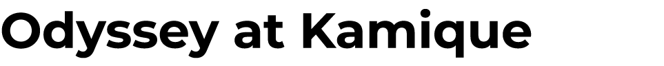 Odyssey at Kamique