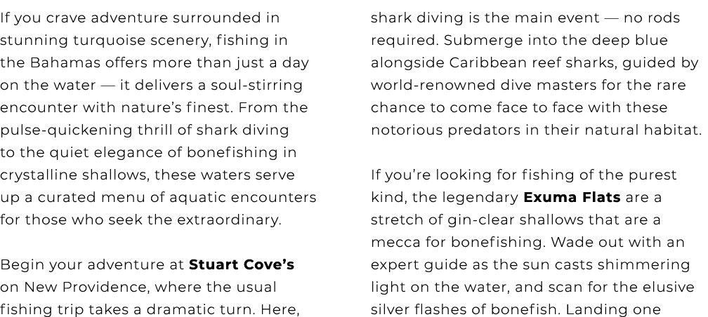 If you crave adventure surrounded in stunning turquoise scenery, fishing in the Bahamas offers more than just a day o...