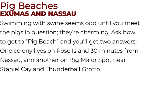 Pig Beaches Exumas and Nassau Swimming with swine seems odd until you meet the pigs in question; they’re charming. As...