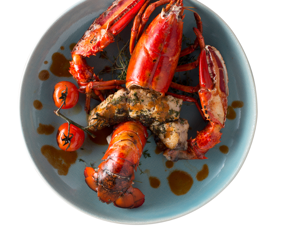 Delicious grilled Lobster in plate isolated on background