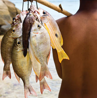 Sea Gypsies and andaman fish