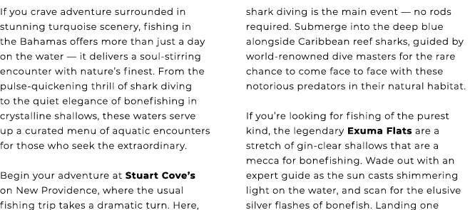 If you crave adventure surrounded in stunning turquoise scenery, fishing in the Bahamas offers more than just a day o...