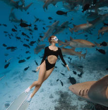 Slim woman freediver in a clear tropical water with nurse sharks in Maldives