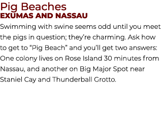 Pig Beaches Exumas and Nassau Swimming with swine seems odd until you meet the pigs in question; they’re charming. As...