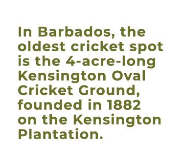 In Barbados, the oldest cricket spot is the 4 acre long Kensington Oval Cricket Ground, founded in 1882 on the Kensin...