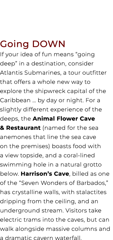 Going DOWN If your idea of fun means “going deep” in a destination, consider Atlantis Submarines, a tour outfitter th...