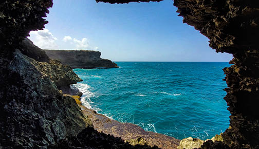 Animal Flower Caves within Barbados