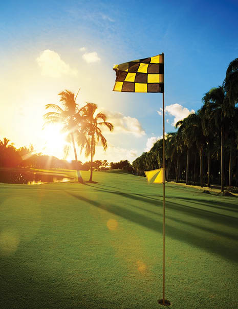 Golf course in the tropical countryside
