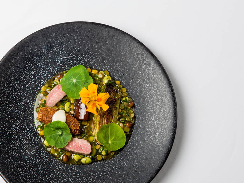 A fine dining plated restaurant dish. 