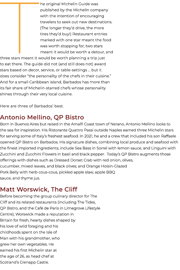 The original Michelin Guide was published by the Michelin company with the intention of encouraging travelers to seek...