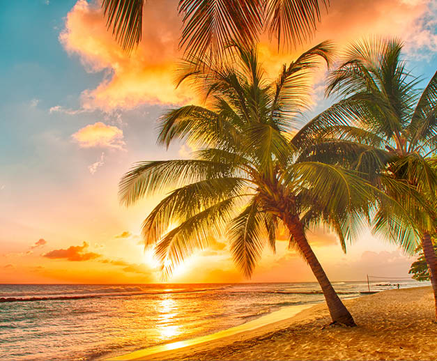 Beautiful sunset over the sea with a view at palms on the white beach on a Caribbean island of Barbados