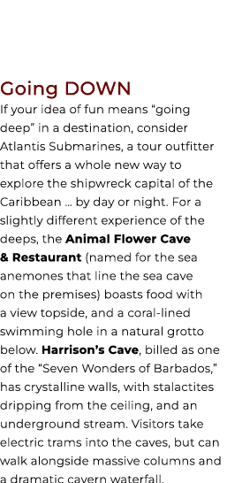 Going DOWN If your idea of fun means “going deep” in a destination, consider Atlantis Submarines, a tour outfitter th...