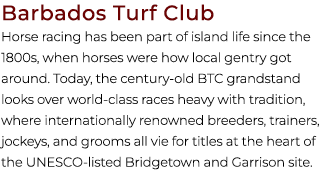 Barbados Turf Club Horse racing has been part of island life since the 1800s, when horses were how local gentry got a...