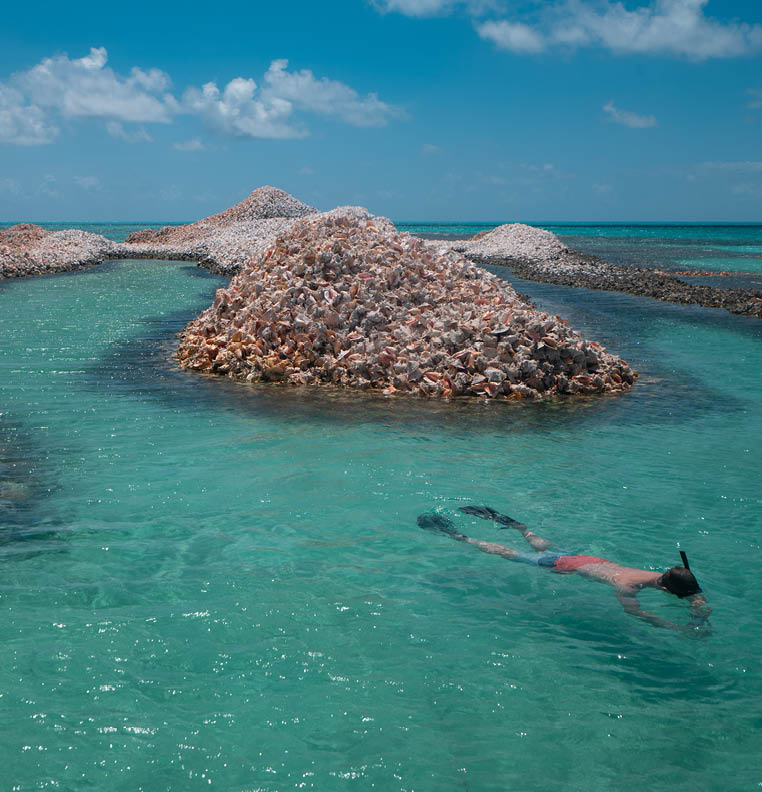 Man snorkeling in the ocean at “Conch Island", (a large pile of discarded conch shells) at Anegada in the British Virgin Islands (BVI).