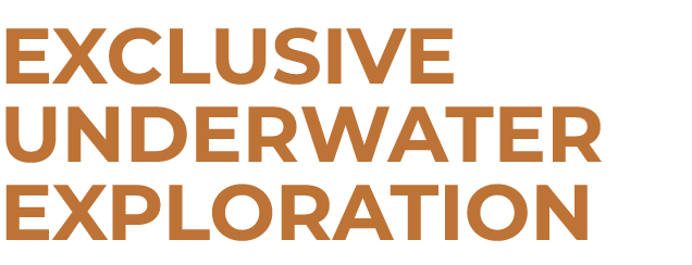 Exclusive Underwater Exploration