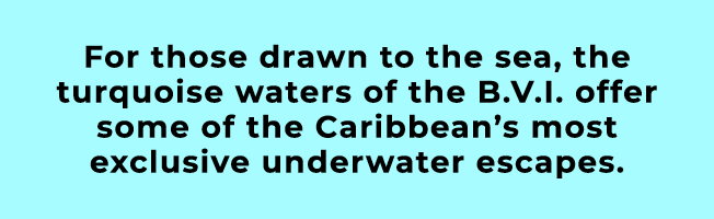 For those drawn to the sea, the turquoise waters of the B.V.I. offer some of the Caribbean’s most exclusive underwate...