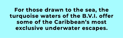 For those drawn to the sea, the turquoise waters of the B.V.I. offer some of the Caribbean’s most exclusive underwate...