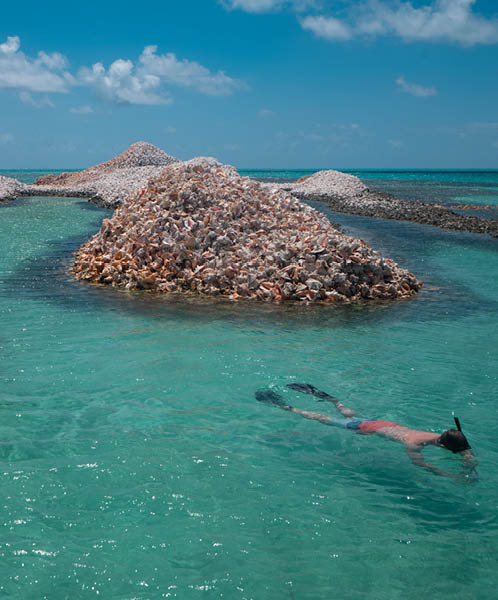Man snorkeling in the ocean at “Conch Island", (a large pile of discarded conch shells) at Anegada in the British Virgin Islands (BVI).