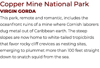 Copper Mine National Park Virgin Gorda This park, remote and romantic, includes the oceanfront ruins of a mine where ...