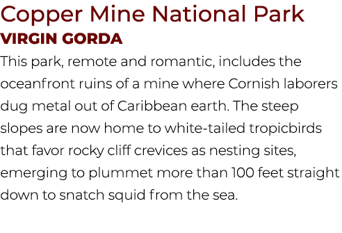Copper Mine National Park Virgin Gorda This park, remote and romantic, includes the oceanfront ruins of a mine where ...