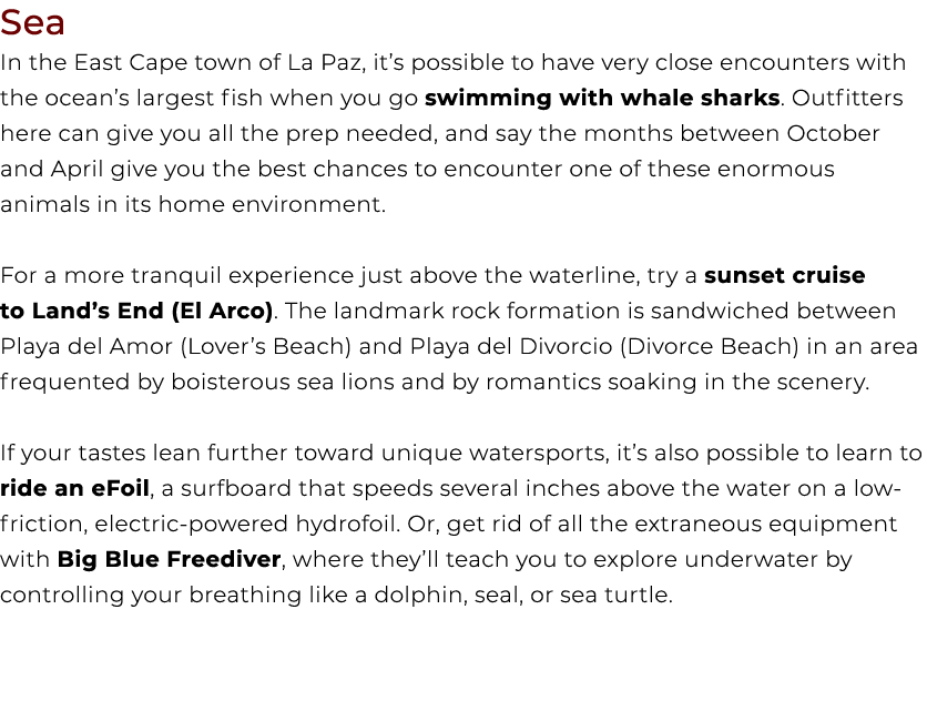 Sea In the East Cape town of La Paz, it’s possible to have very close encounters with the ocean’s largest fish when y...