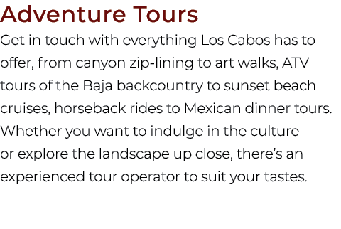 Adventure Tours Get in touch with everything Los Cabos has to offer, from canyon zip lining to art walks, ATV tours o...