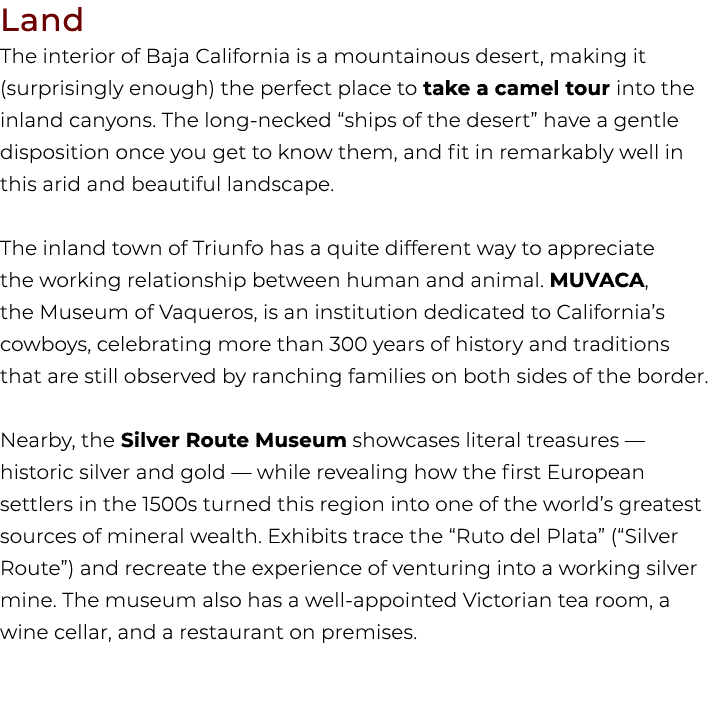 Land The interior of Baja California is a mountainous desert, making it (surprisingly enough) the perfect place to ta...
