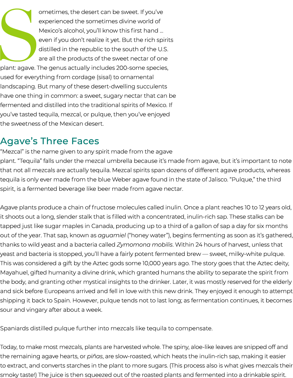 Sometimes, the desert can be sweet. If you’ve experienced the sometimes divine world of Mexico’s alcohol, you’ll know...