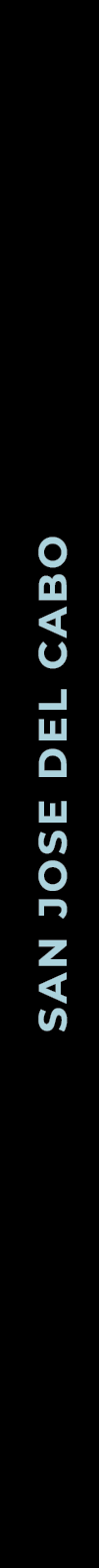 SAN JOSE DEL CABO