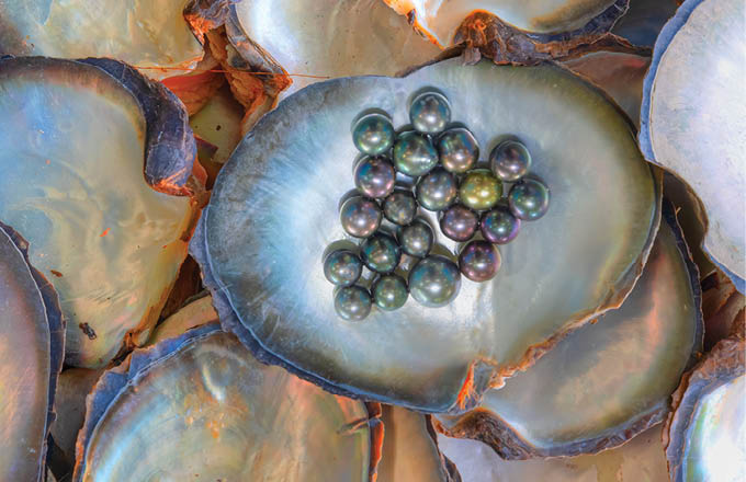 A few pearls in a heart-shaped oyster shell