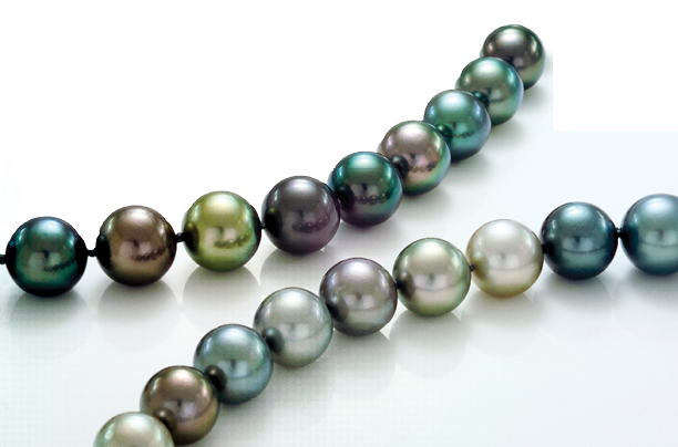 A close up view of two strands of large multi color Tahitian pearls on a white background.