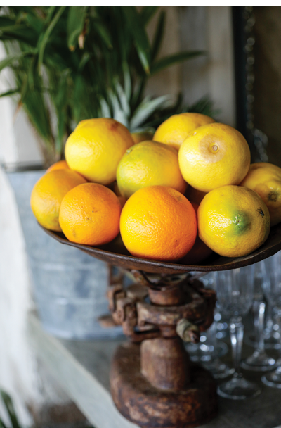 Plate of oranges Cabo San Lucas, Mexico.