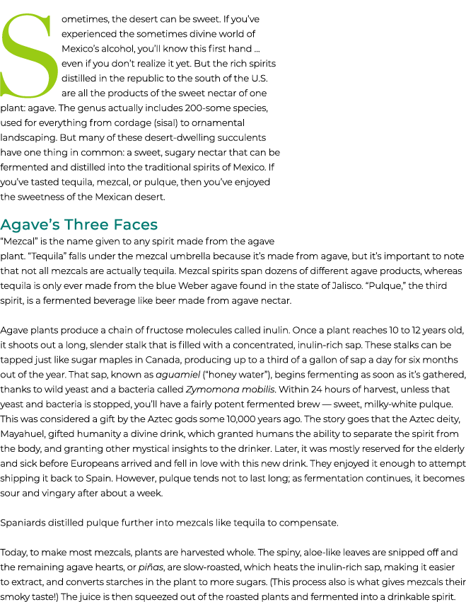Sometimes, the desert can be sweet. If you’ve experienced the sometimes divine world of Mexico’s alcohol, you’ll know...