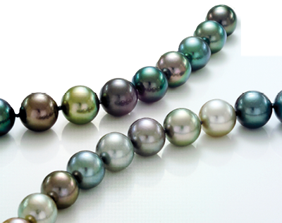 A close up view of two strands of large multi color Tahitian pearls on a white background.