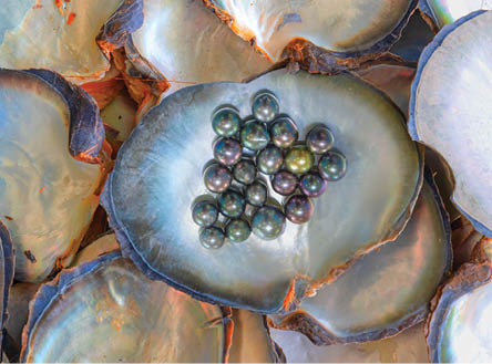 A few pearls in a heart-shaped oyster shell