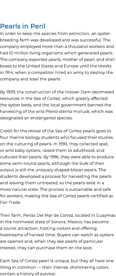  Pearls in Peril In order to keep the species from extinction, an oyster breeding farm was developed and was successf...