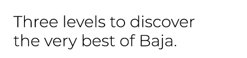 Three levels to discover the very best of Baja.